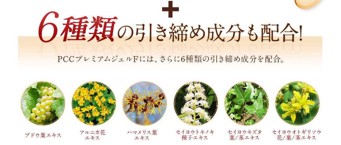 ６種類の引き締め成分も配合