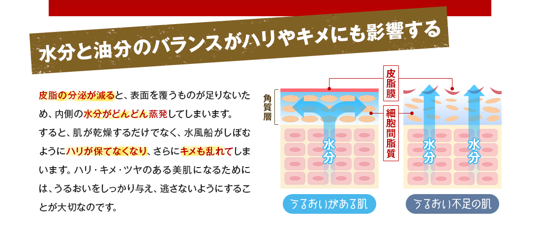 水分と油分のバランスがハリやキメにも影響する