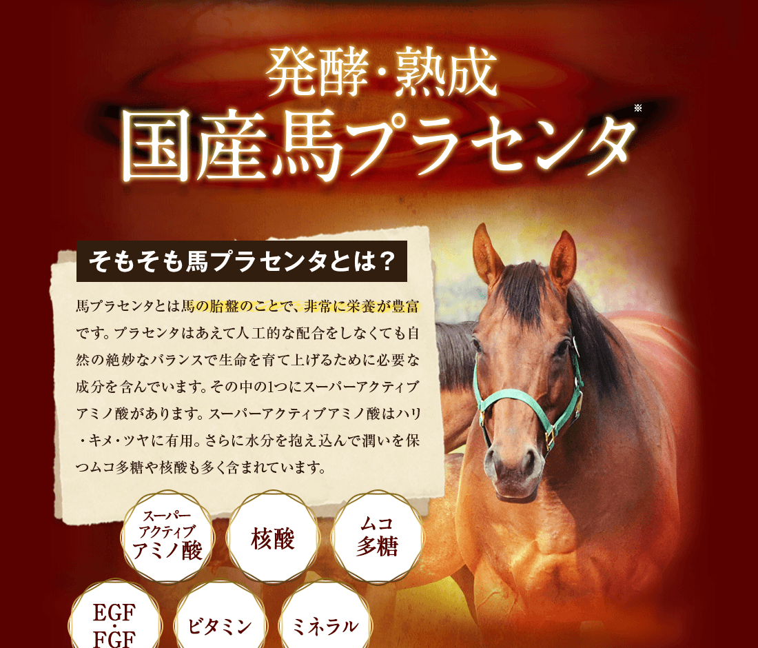 発酵・熟成 国産馬プラセンタ