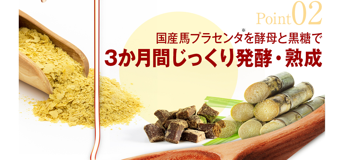 ３か月間じっくり発酵・熟成